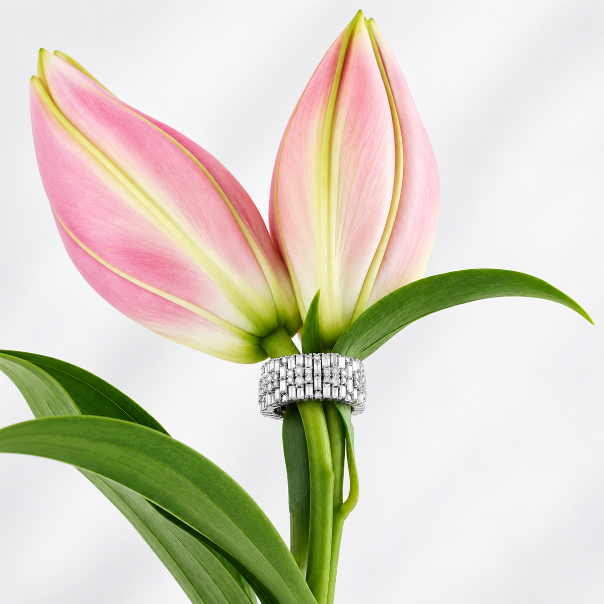 The Heritage Collection